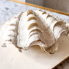 RESERVED - Vintage Double Clam Shell