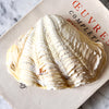 RESERVED - Small Vintage Clam Shell