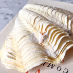 Load image into Gallery viewer, RESERVED - Small Vintage Clam Shell
